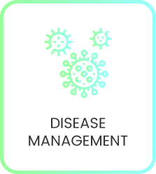 Online disease management consultation